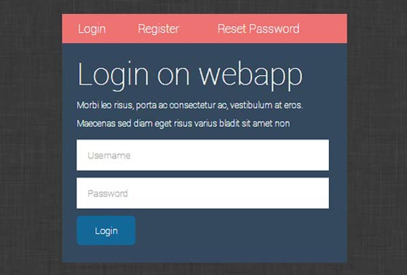 Login form